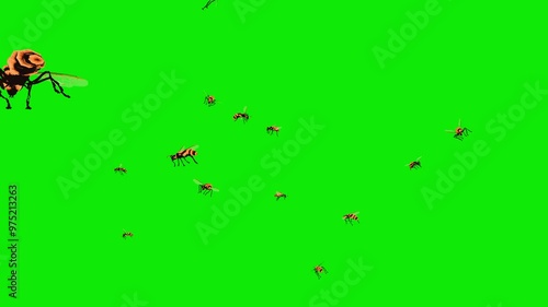 Wild Bees - Large Swarm - Flying Around Screen Loop - Green Screen - Realistic naturalistic 4K UHD 3D animation isolated on chroma key background