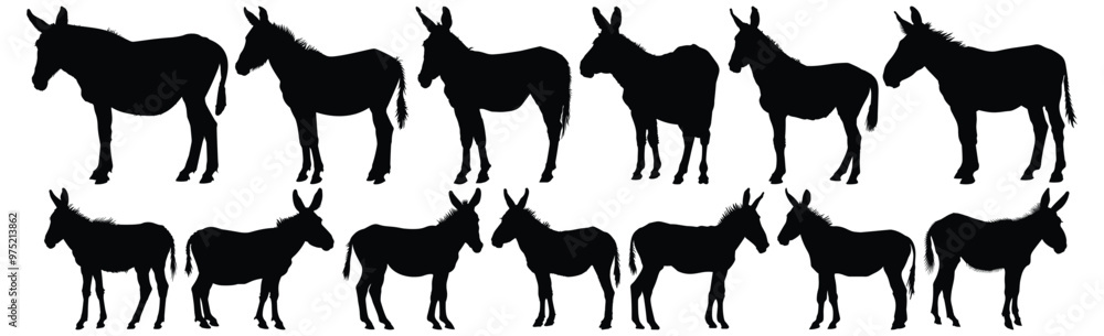 Donkey silhouette set vector design big pack of animal illustration and icon Donkey silhouette set vector design big pack of animal illustration and icon