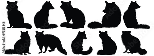 Raccoon silhouette set vector design big pack of animal illustration and icon