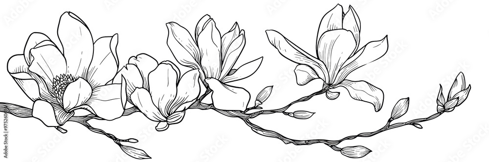 Obraz premium A drawing of a branch with three flowers on it