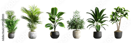 A row of potted plants with different sizes and shapes photo