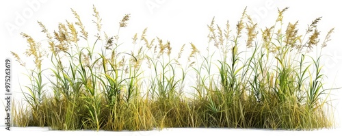 3D Rendered Lush Grass Patc...