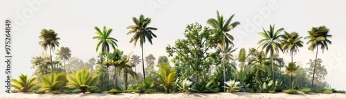 Tropical Paradise 3D Rendered Lush Palm Trees and Foggy Forest on a Sandy Beach, tropical , paradise , 3d render