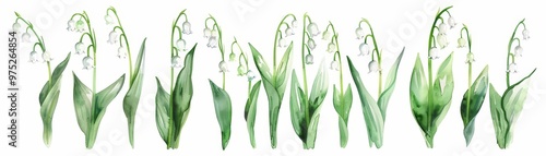Watercolor Illustration of ...