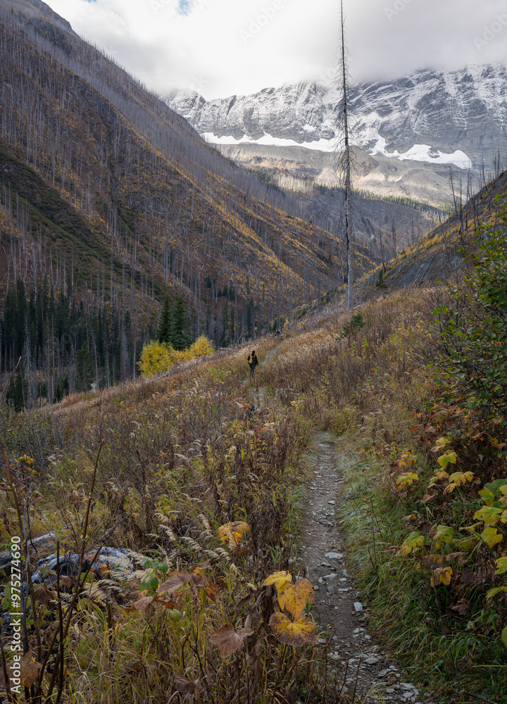 Obraz premium landscape in the mountains