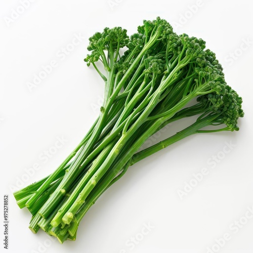 a stalk of fresh broccoli with multiple heads attached.