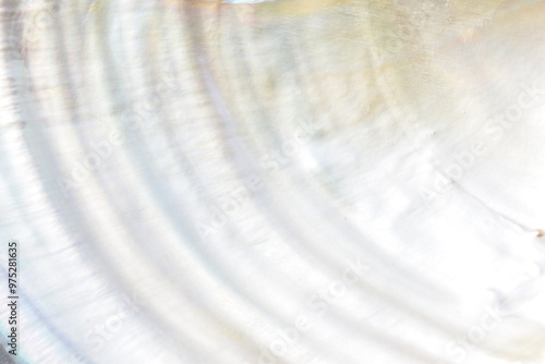 Abstract white pearl shell background texture