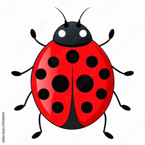 ladybug, bright red with black spots on white, illustration of a ladybug