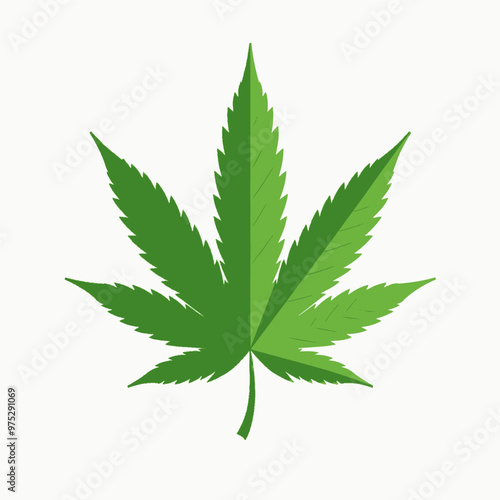 Green Cannabis Leaf Illustration  
