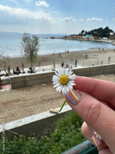 flower on the beach