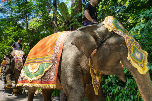 Photography Elephant dressed for zoo carnival, Bali, Indonesia