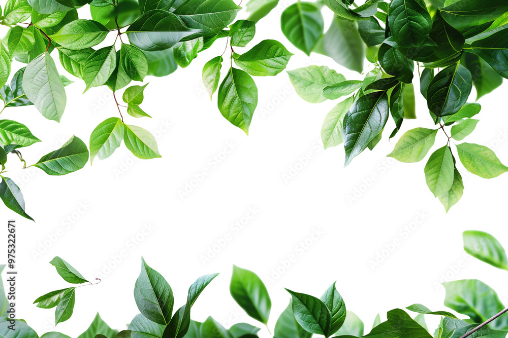 Green Leaves Frame Green Leaves Frame