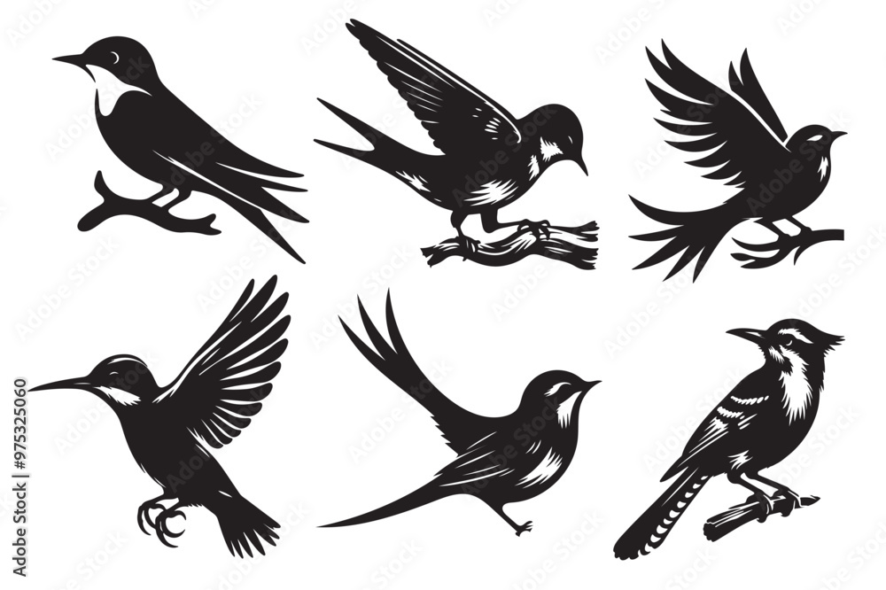 Obraz premium set of birds