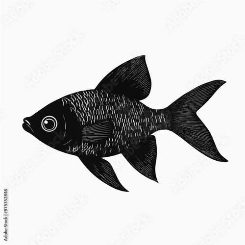 illustration of fish vector 