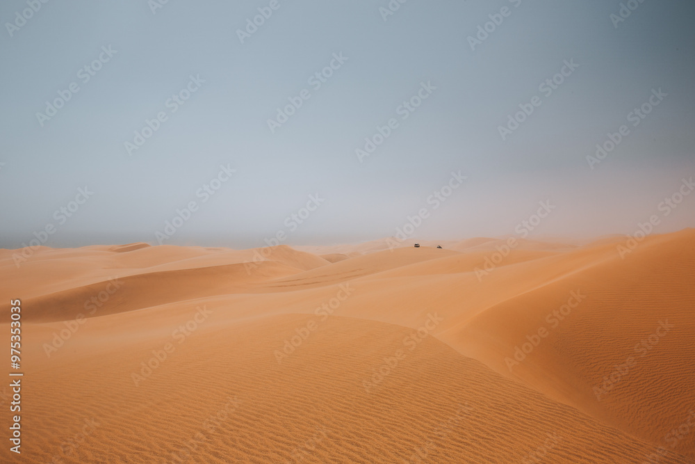 sand dunes in the desert sand dunes in the desert