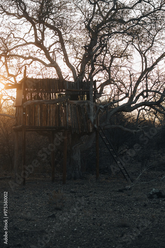 observation hut in the woods photo