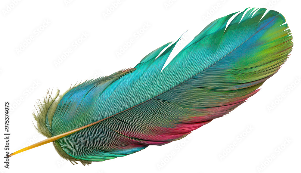 PNG Colorful vibrant parrot feather isolated PNG Colorful vibrant parrot feather isolated