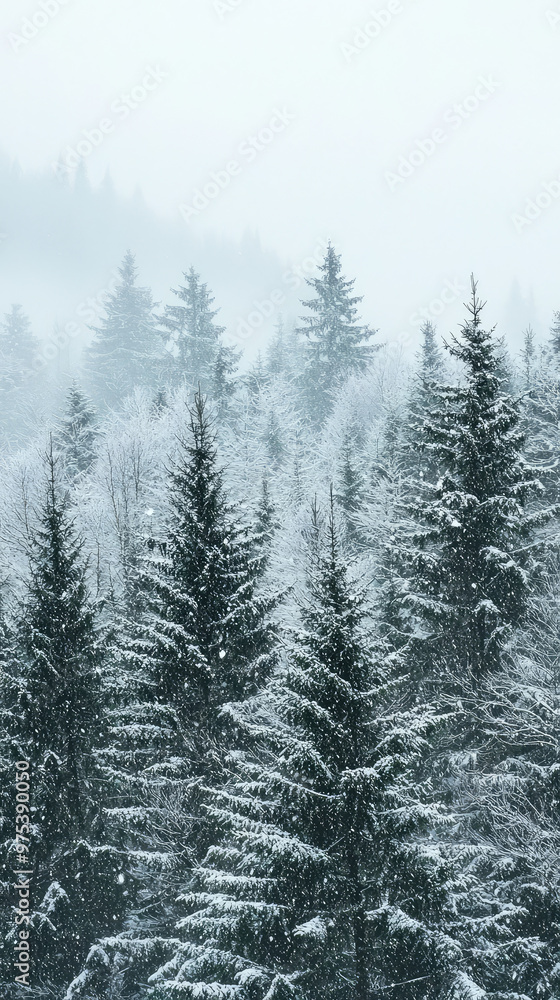 Snow dusted evergreen trees create serene winter wonderland, enveloped in mist and soft snowfall. tranquil atmosphere evokes sense of peace and beauty in nature Snow dusted evergreen trees create serene winter wonderland, enveloped in mist and soft snowfall. tranquil atmosphere evokes sense of peace and beauty in nature