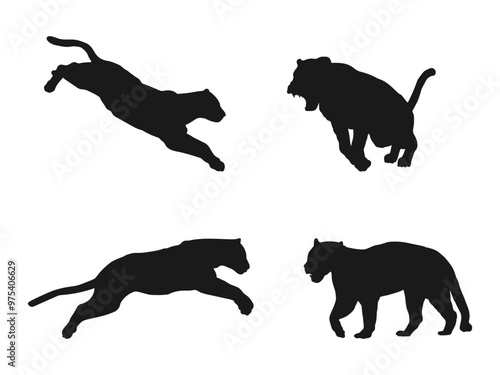 Set of wild jaguar silhouette vector illustration. Jumping, playing, standing, lying. Wild animals. Cats. black panther. Vector flat sitting tiger silhouette isolated on white background. 