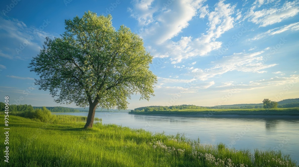 A lone tree stands on the bank of a river, with lush green grass and a bright blue sky with white clouds above. A lone tree stands on the bank of a river, with lush green grass and a bright blue sky with white clouds above.