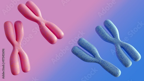 Canvas-taulu The concept of biological sex determination in humans