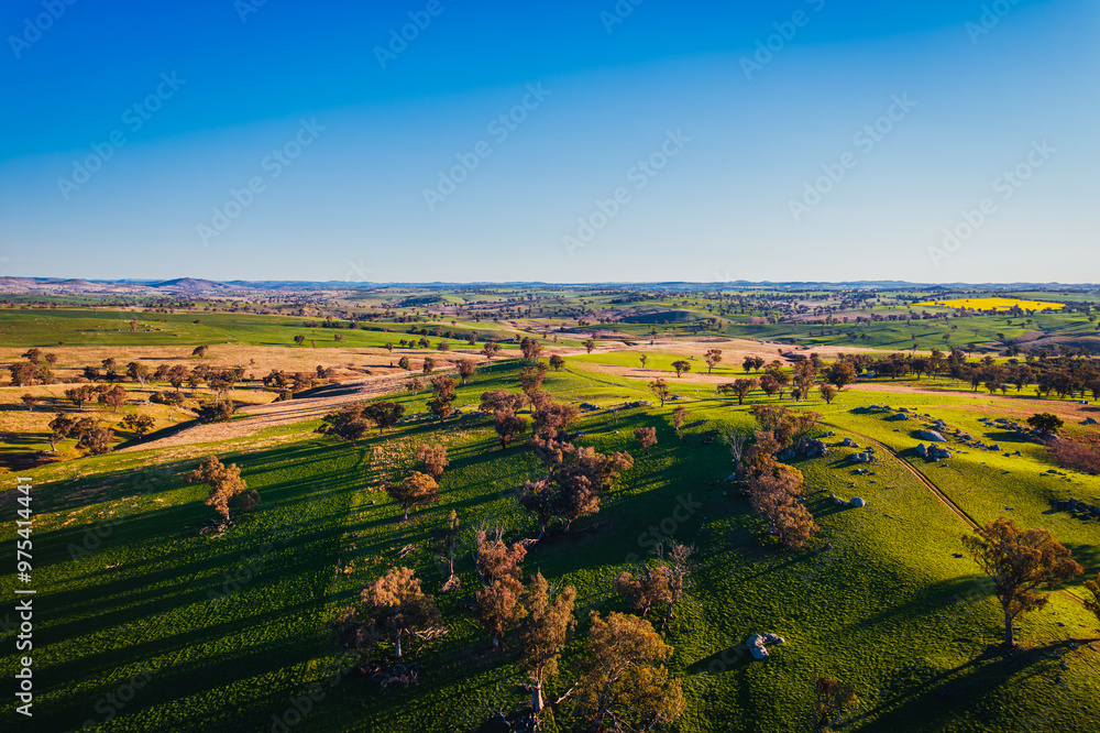 Naklejka premium The photo was taken of scenery along the way to Harden town, featuring fields of rapeseed flowers