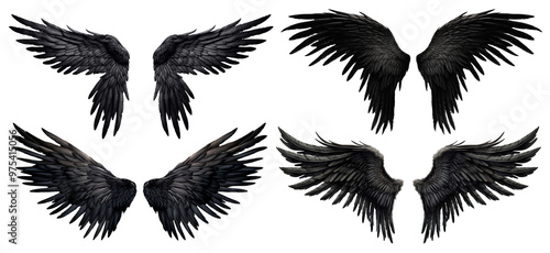 Fototapeta Naklejka Na Ścianę i Meble -  Set of black wings, cut out