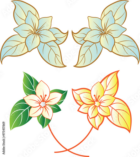 Colorful jesmine flower vector with leaf