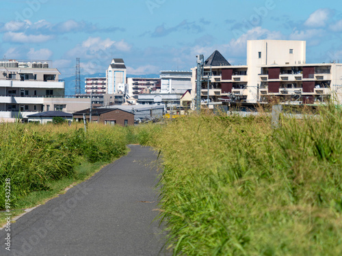 大和川リバーサイドサイクルライン沿いの景色