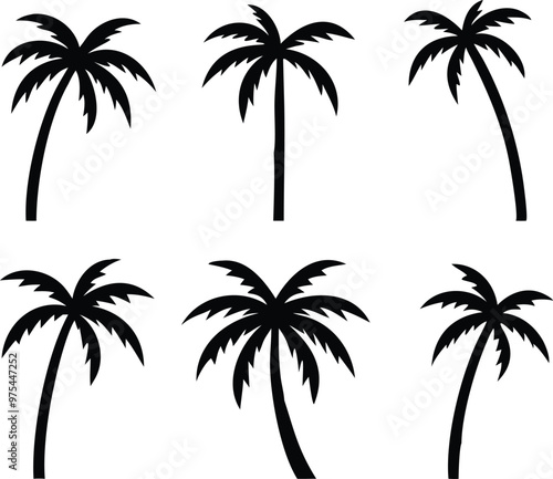 Palm tree silhouette. palm trees set