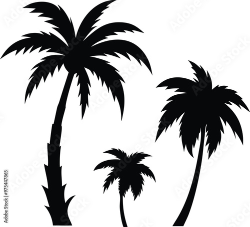 Palm tree silhouette. palm trees set