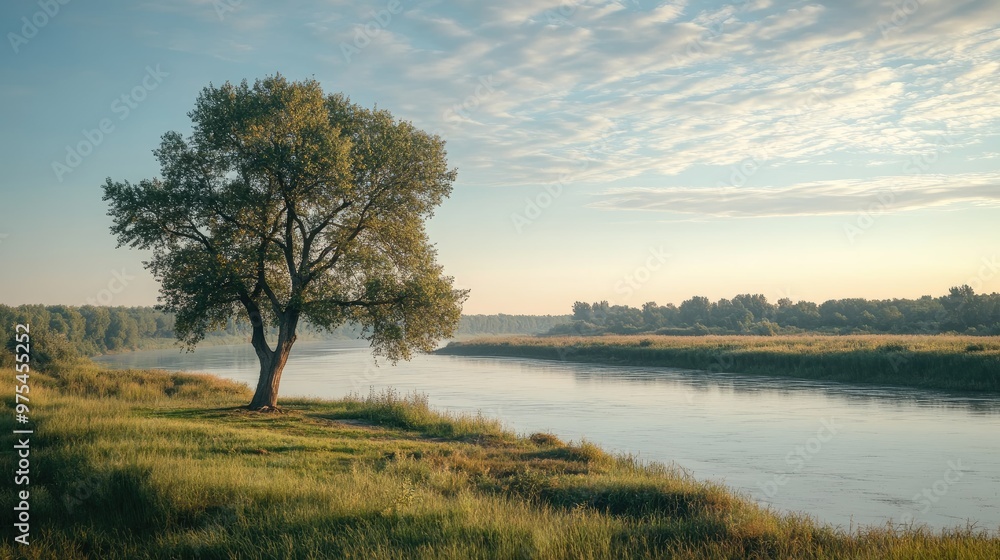 A solitary tree stands on the bank of a tranquil river at sunrise, with mist rising from the water and a clear sky overhead. A solitary tree stands on the bank of a tranquil river at sunrise, with mist rising from the water and a clear sky overhead.