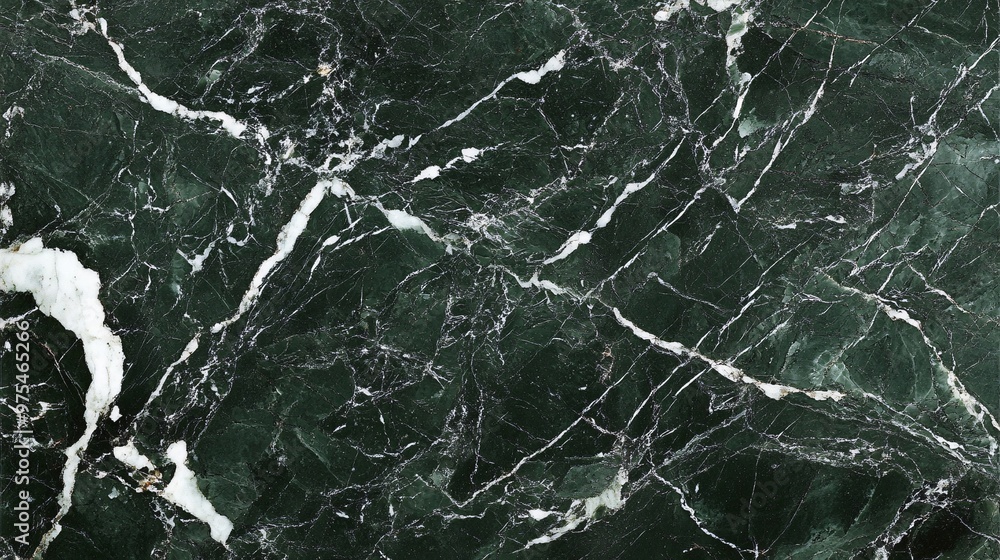 Elegant Dark Green Marble with White Veining Elegant Dark Green Marble with White Veining