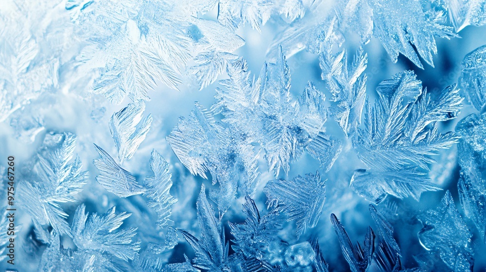 Intricate Frozen Ice Crystals Macro Intricate Frozen Ice Crystals Macro