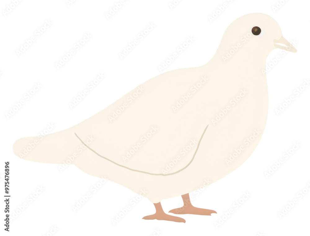 PNG Illustration of a simple dove animal bird wildlife. PNG Illustration of a simple dove animal bird wildlife.