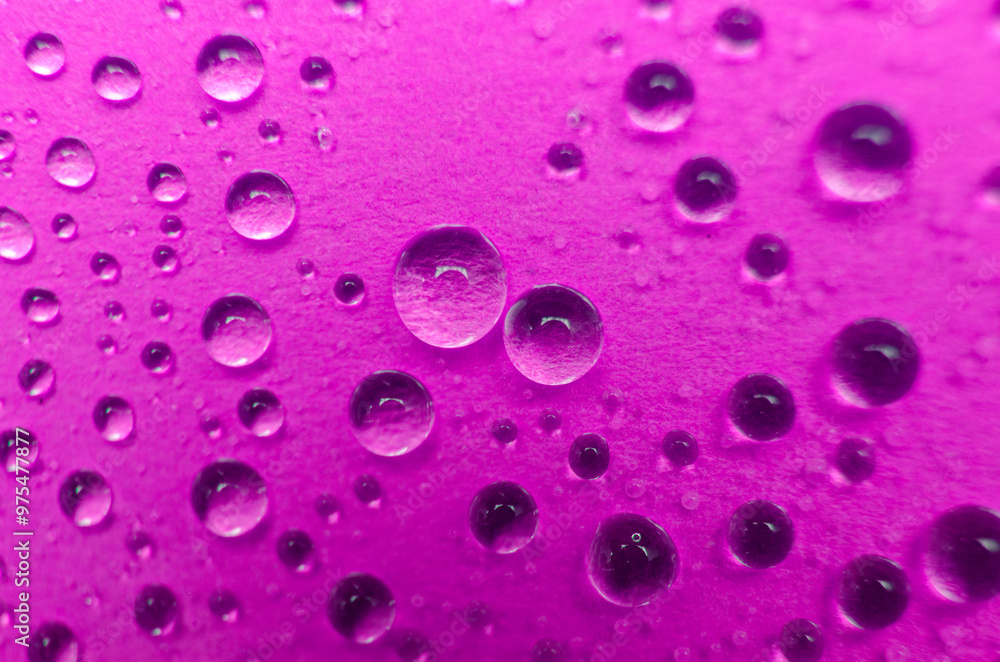 Close up of water droplets. Water droplets and wallpaper concept Close up of water droplets. Water droplets and wallpaper concept