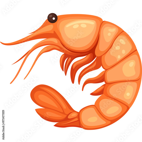 Shrimp vector color illustration isolated on white background. Template for restaurant menus. Shrimp vector icon.