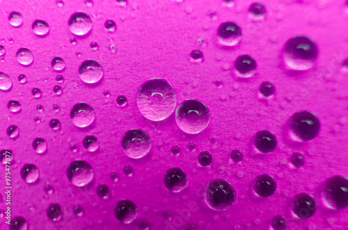 Close up of water droplets. Water droplets and wallpaper concept