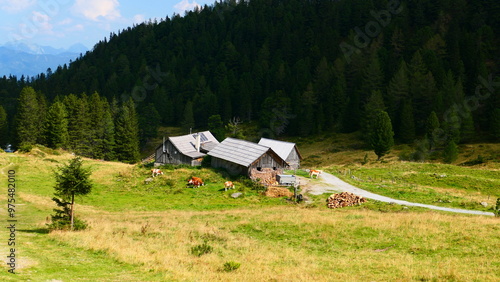 Scheibelalm, Alp in den Rottenmanner Tauern, Steiermark  photo