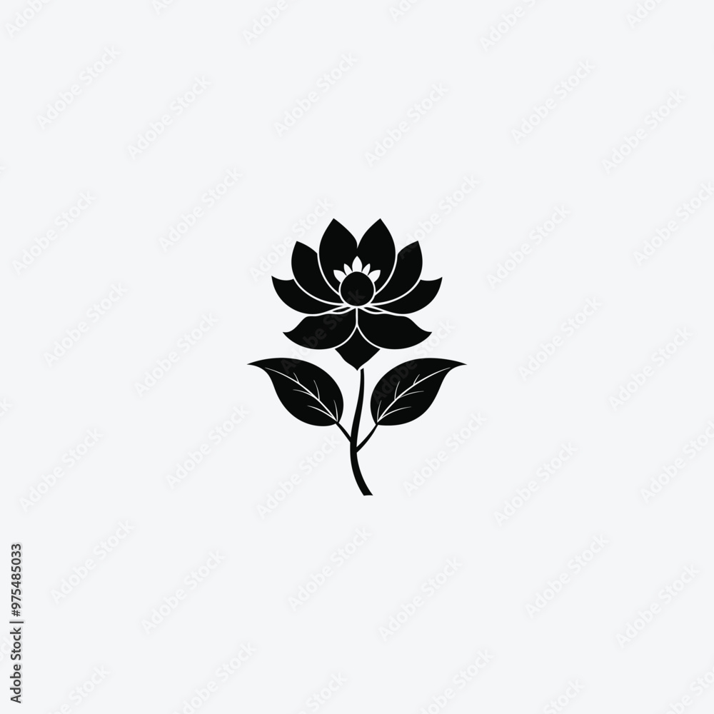 black and white flower black and white flower