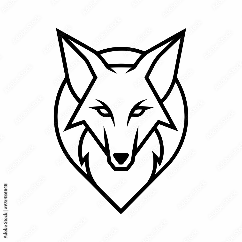 coyote coyote