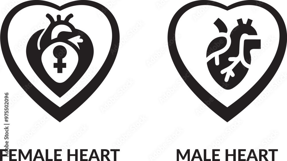 Female and male heart icon, black on white vector. Female and male heart icon, black on white vector.