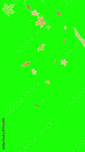 Autumn fall leaves animation - Vertical video on green screen.