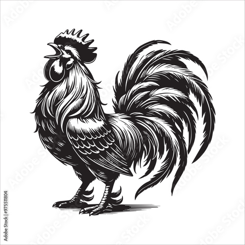 Chicken silhouette Clipart - Hen Vector illustration in black and white
