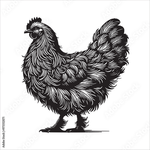 Chicken silhouette Clipart - Hen Vector illustration in black and white