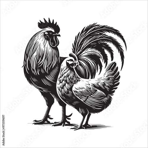 Hen silhouette Clipart - Rhode Island Red Chicken Vector illustration in black and white
