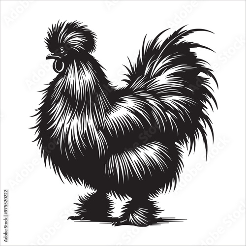 Hen silhouette Clipart - Silkie chicken face Vector illustration in black and white