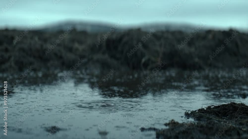 Bubbles creating in the dirty water, closeup Bubbles creating in the dirty water, closeup
