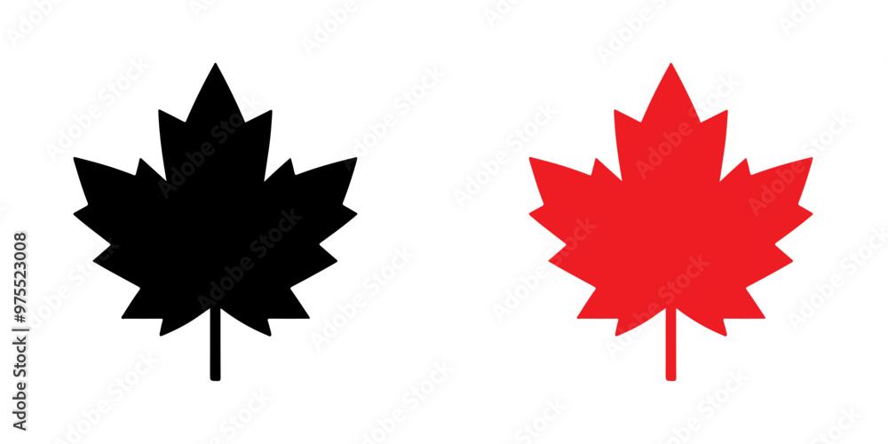 Black and red maple leaf icon silhouette vector illustration design on white background. Black and red maple leaf icon silhouette vector illustration design on white background.