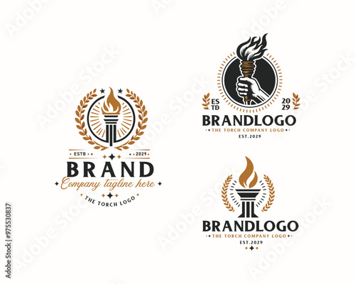 Set bundle Burning Torch fire flame logo design for business company
